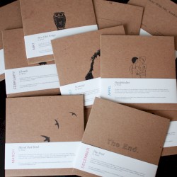 12 Records in 12 Months