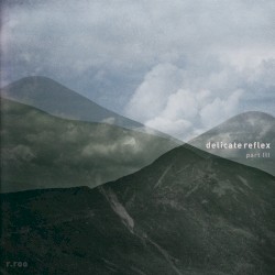 Delicate Reflex, Part 3