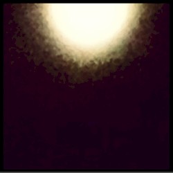 Dialects of a Singular Language