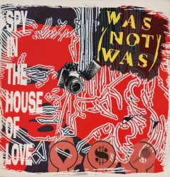 Spy in the House of Love