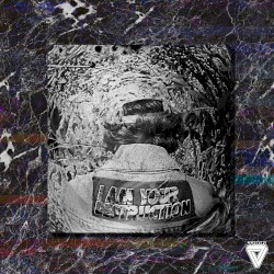 I AM YOUR DESTRUCTION