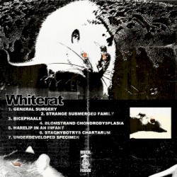 Strange Submerged Family