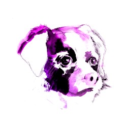 Doggy Fun (I love you doggy)