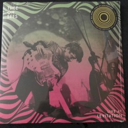 Live at Levitation 2012