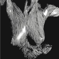 Self-Preserved While the Bodies Float Up