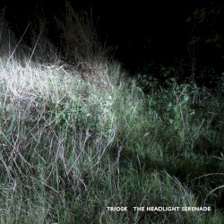 The Headlight Serenade