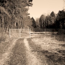 Environmental Research Facility