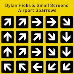 Airport Sparrows