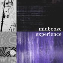 Experience
