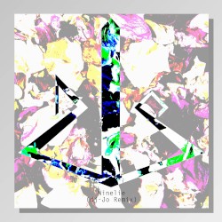 Ninelie (dj-Jo remix)