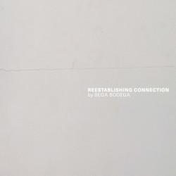 Reestablishing Connection