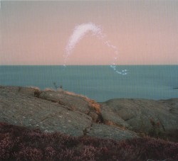 An Overview on Phenomenal Nature