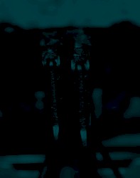 Encrages, Festival In-Ouïe 2024 | La Roche-sur-Yon