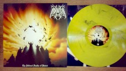 The Infernal Depths of Hatred