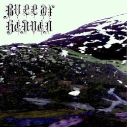 319: The Person Witness