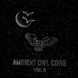 Ambient Owl Core vol. 3