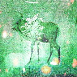 Wombs and Alien Spirits