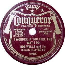 I Wonder If You Feel the Way I Do / That's What I Like 'Bout the South