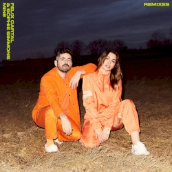 Mine (Remixes)