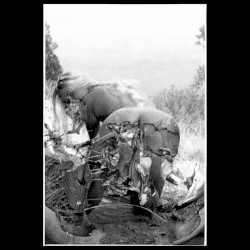 The Beauty In The Filth