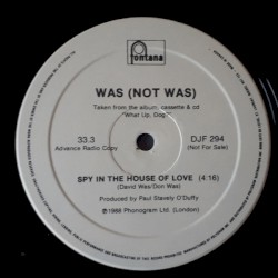 Spy in the House of Love