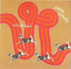 Black Dice / Erase Errata