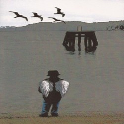 Pajaritos, bravos muchachitos