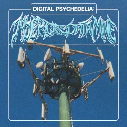 Digital Psychedelia: Lysergic Datamine