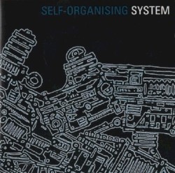 Self Organising System