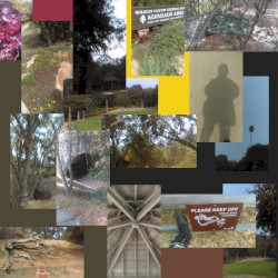 Short Park Fields