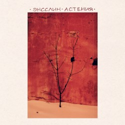 Энсслин ⸱ Астения