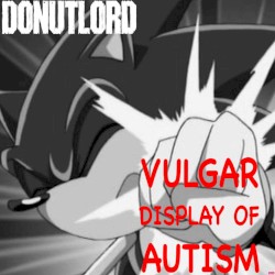 Vulgar Display of Autism