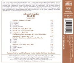 Guitar Transcriptions