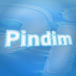 Pindim