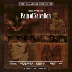 Discovering Pain of Salvation