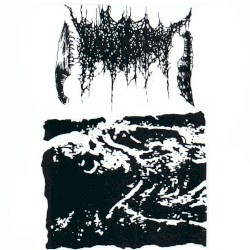 MMXVII