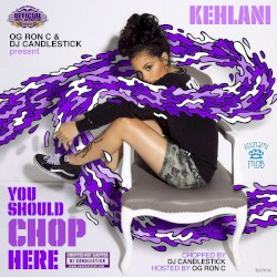 You Should Chop Here (Chopped Not Slopped)