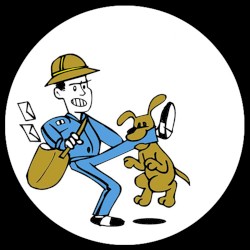 The Collection (2012-2016)