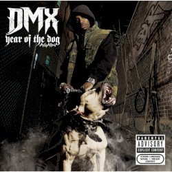 Year of the Dog… Again