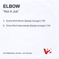 Not a Job (Deadly Avenger Remixes)