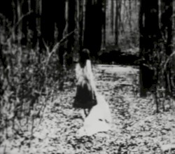 Begotten Chapter VII