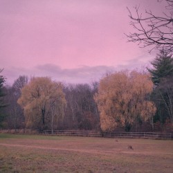 Would You Mind Please Pulling Me Close?