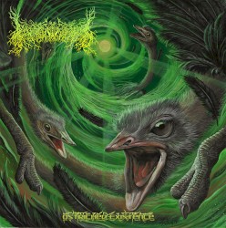 Ostriched Existence
