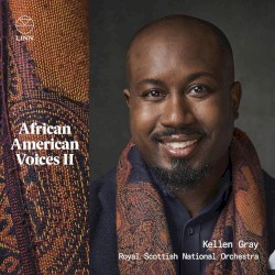African American Voices II
