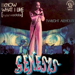 I Know What I Like (In Your Wardrobe)