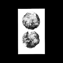 Vol. I-Split
