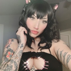 CAT GIRLS ARE RUINING MY LIFE!
