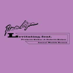 Levitating (Amaal Mallik remix)