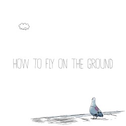 How to Fly on the Ground