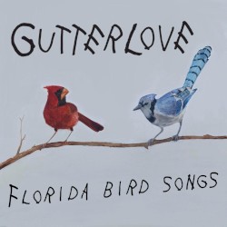 Florida Bird Songs